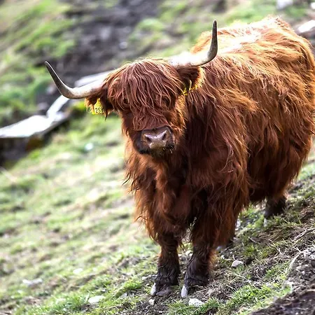 Alojamento de Turismo Rural Botondoro *