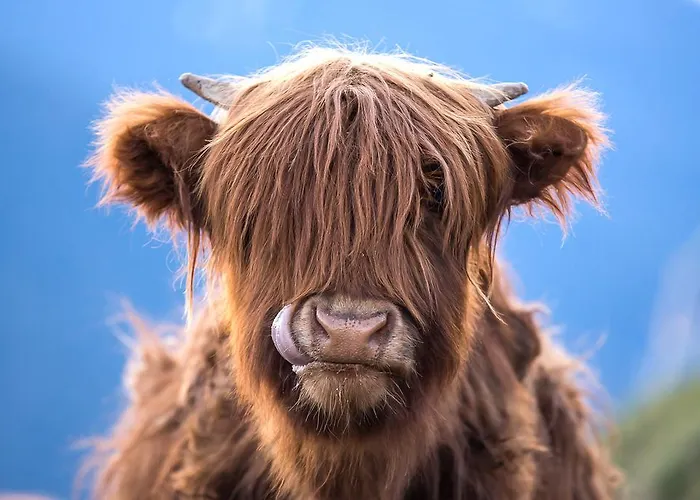 Bauernhof Botondoro *